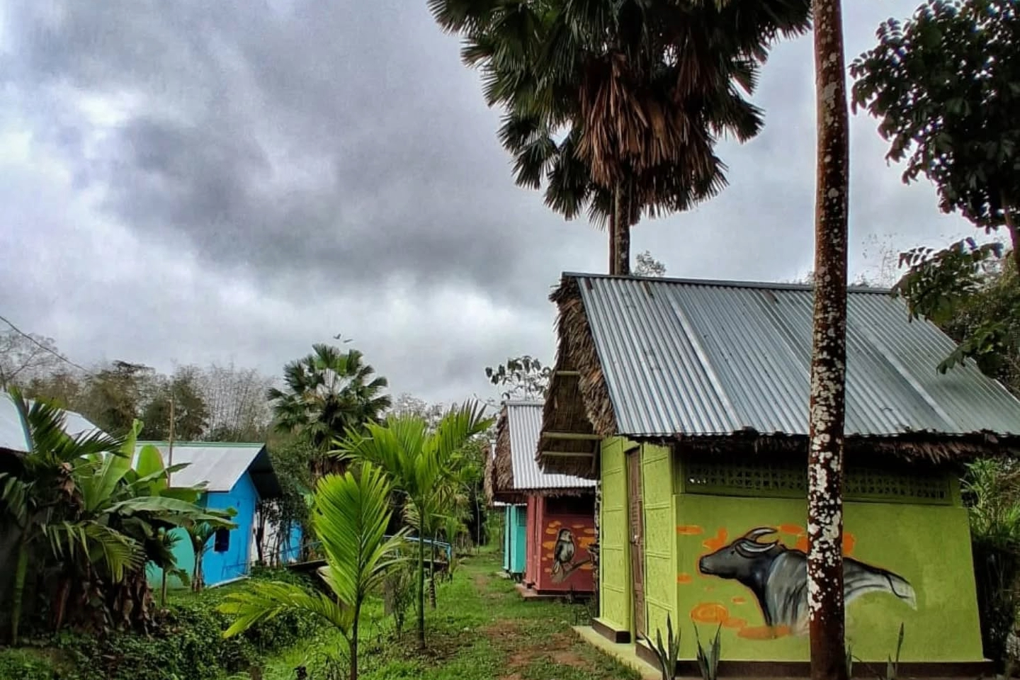 Natural texture detail at Green Yard Eco Resort in Narayanpur, Assam